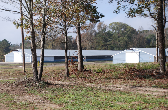 Poultry houses in cooler temperature